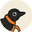 NICH3D logo